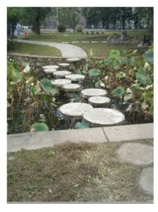 Photo 1 - A Step In the Right Direction article