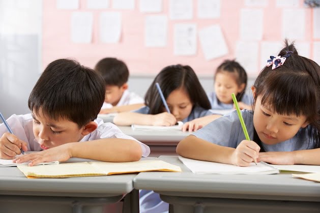 Student type - public school - students working in class