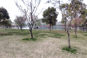 photo-3